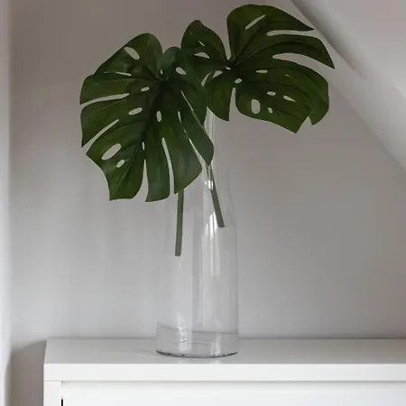 Kolo Brzegu By Renters 3* Kołobrzeg