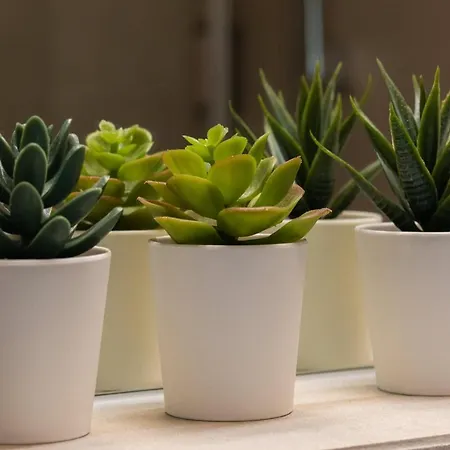 Aparthotel Kolo Brzegu By Renters 3*