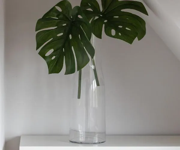 Kolo Brzegu By Renters 3* Kolobrzeg