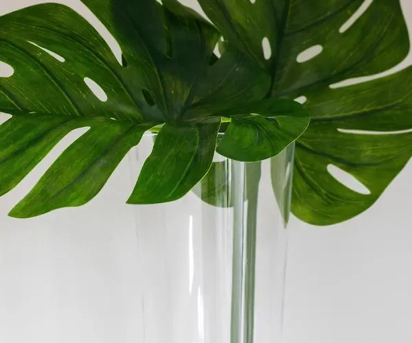 Kolo Brzegu By Renters Kołobrzeg